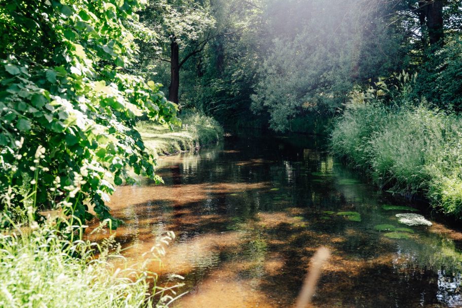 Ein ruhiger Fluss fließt durch eine grüne Landschaft mit Bäumen und hohem Gras.