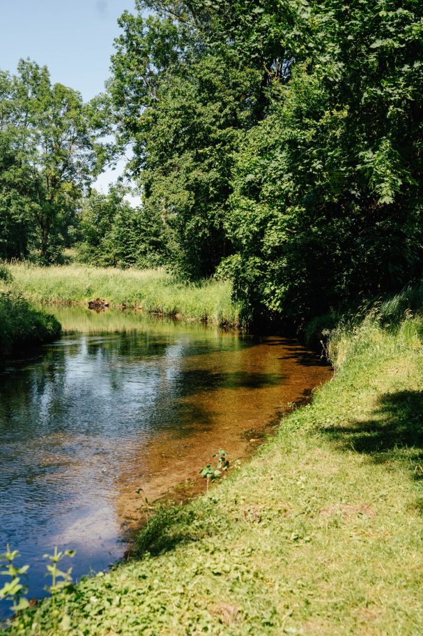 Ein ruhiger Fluss mit klarem Wasser, umgeben von üppigem Grün und Bäumen.