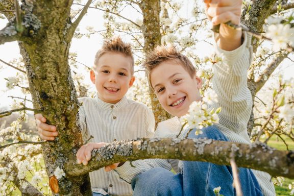 Zwei lächelnde Jungen sitzen in einem Kirschbaum, umgeben von blühenden Zweigen.