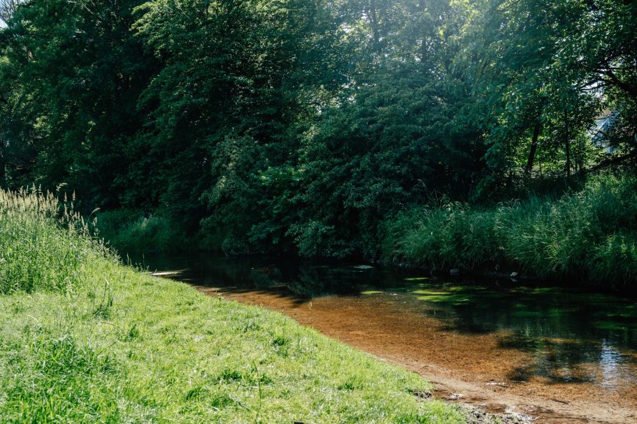 Ein ruhiger Flusslauf, umgeben von üppigem grünem Gras und Bäumen.